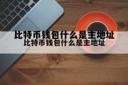 关于比特币钱包什么是主地址的信息