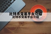 比特币交易平台倒闭了我的比特币怎么办，比特币交易平台介绍