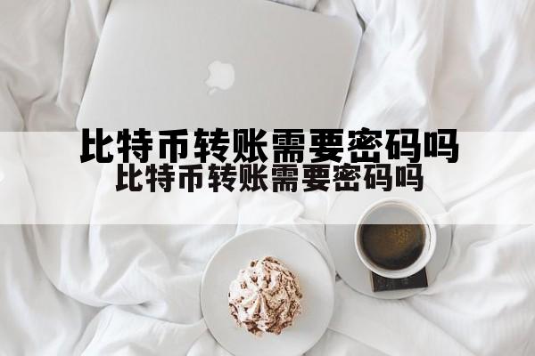 比特币转账需要知道对方的什么，比特币转账需要密码吗