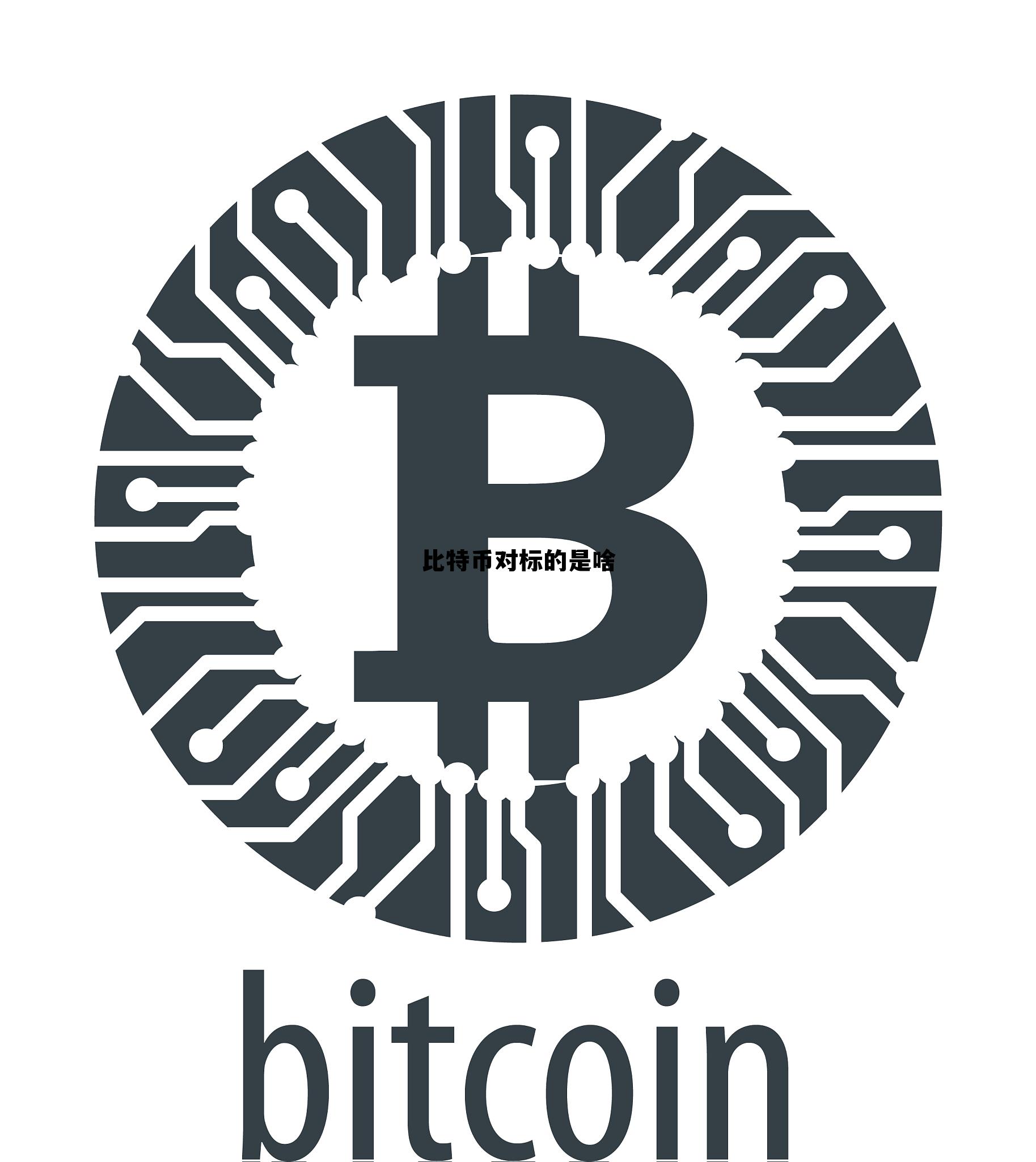 比特币对手价,比特币对标的是啥 比特币对手价,比特币对标的是啥